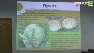 Пушма F1 Капуста (Rijk Zwaan)  Семинар 20.09.2016