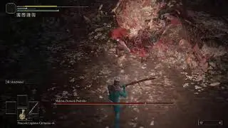 Elden Souls Darkborne Sekiro Shadows Die Twice Miquella's Feet of the Preapare to Finger But Hole