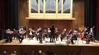 Mozart: Flute Concerto in D Major, 2. Adagio Aperto