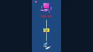 POODLE attack | Vulnerability in the SSL 3.0 #shorts