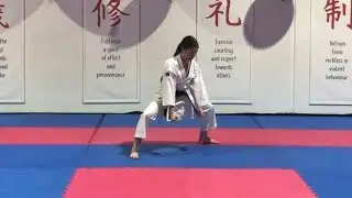 GKR Karate Kata Sepai
