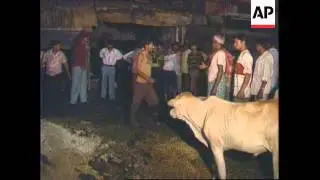 INDIA: DELHI: 19 DIE AND 20 INJURED IN OUTDOOR MARKET FIRE