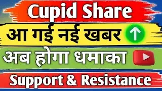 Cupid ltd share news today l cupid share news l Cupid share Analysis 24 December 2025