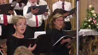 Abbiate coraggio Bacchini - Tonoli