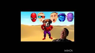 Wrong Heads Top Superheroes & Thanos, Hulk
