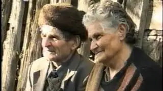 ՇԱՄԼՈՒՂՅԱՆ ԿԱՐՈՏ