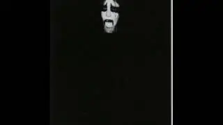 Drowning the Light -  Howling Forests of Desolation