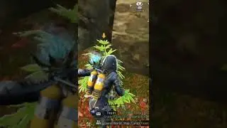 lifeafter always get those special items in fall forest