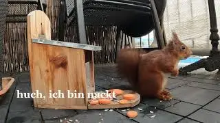 Randale