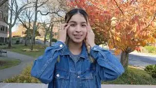 What is the Stony Brook Experience?