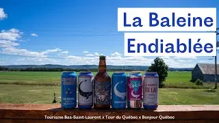 À la rencontre de La Baleine endiablée - Bas-Saint-Laurent