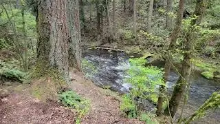 Whatcom Falls Creeks