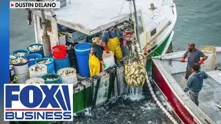 Fishermen ask DOGE to help cut mountains of red tape