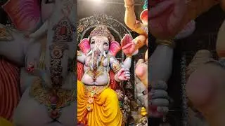 dhoolpet ganesh 2024 trending #dhoolpet #trending #trendingshorts #hyderabad #ganeshchaturthi #2024