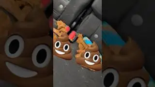 Our family dog 🐕 pooped in our car 🚙🤯💩😵 #subscribe #fypシ #shortvideo #cleaning #adventure