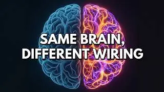 Same Brain, Different Wiring