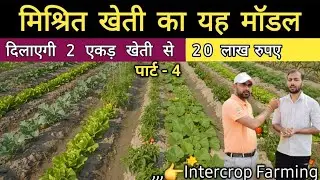 How To Start Intercrop Vegetable Farming Step-By-Step Part - 4 | Mixed Vegetable Farming In India 