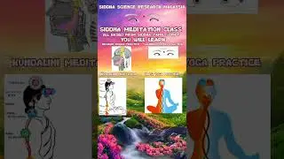 SIDDHA COURSES AND PRACTICE