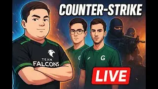 TOMAS SHELBEK FACEIT!
