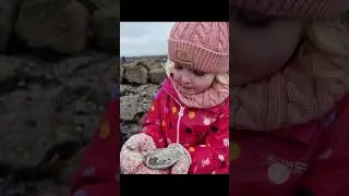 Coastal Marvels Troon Scotland Rockpooling Beach Exploring Activities
