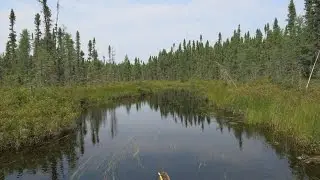 Pt 15: Boggy Creek and portages: 17 day solo canoe trip, August 2013
