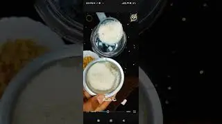 How to Make a Ginger Bug in 7 Days &ndash; No Chemicals, Just Magic! In Tamil 🫚