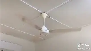 Ceiling fan Panasonic fm15a0 ceiling fan KDK k15v0 ceiling fan Panasonic fmy153