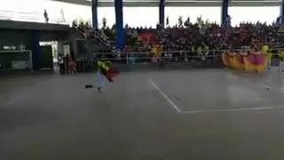 Comparsa leyenda de mi tierra ganador del caiman cienaguero 2019