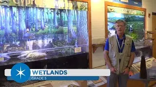 Wetland Ecosystems