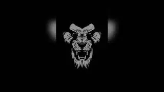 Mr.INFINITE. GANG ANTHEM (instrumental)