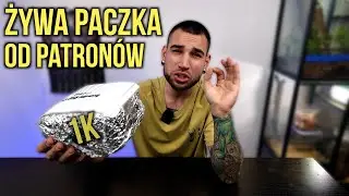 Ptaszniki od Patronów! Żywa paczka za tysiaka 🤩 Unboxing