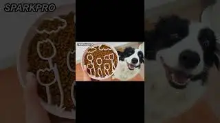 Pet Silicone Slow Eating Feed Dog Bowl Big Tulip Shape#puppy #pets  #dogbowl #youtube