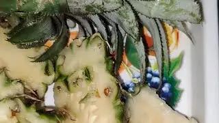 anu bhakar is live painepal ka jhush kese bnaye recipe