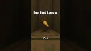 The EASIEST Way To Get Golden Carrots #shorts #minecraft #gaming
