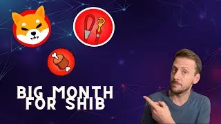 Shib to the Moon?!