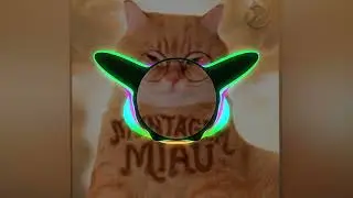 Montagem_Miau_#avee_player 