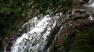 Dooli ella-Neluwa Sri lanka