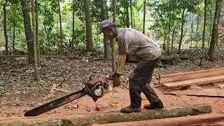 WOOD SPLITTING PROCESS - MODERN TOOLS AND MACHINES USED EFFICIENTLY! - Agriculture Farming