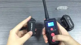 Электроошейник для 1-2х собак с радиусом действия до 300 метров Petrainer 916