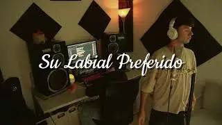 RAGGI&Oslash; - Su labial preferido (Visualizer oficial) | #d4u