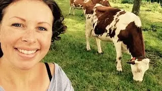 Koemelkallergie-vlog #1 - mijn baby is allergisch voor koemelk