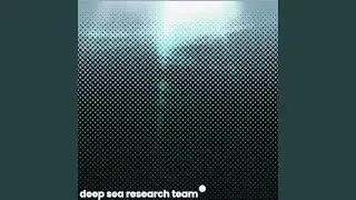 Deep sea research team