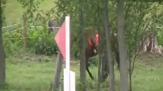 Fezzik at stone gate intro mini trial 2011