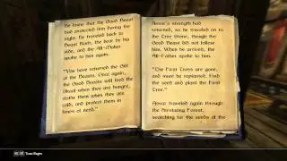 Skyrim: Aevar Stone-Singer