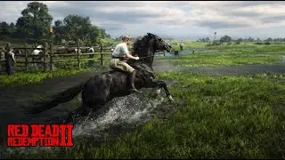 Одна из самых красивых лошадей в Red Dead Redemption 2, Кентуккийский сёдлер | Самая высокая лоша...