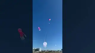 Learn something new everyday&hellip;did you know this kite terminology?