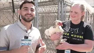 Jess Liptzin Live Shots Compilation 01/22/23-08/20/24