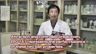 MARUKYU　　「EFG161」（TENKAMUSOU）　ENGLISH