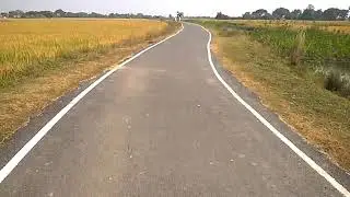 Paddy Fields , Vindhya Region