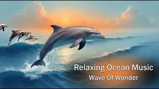 Wave of Wonder 🐬 Dolphins, Doves & Earth's Wild Family | Calming Nature Music Video